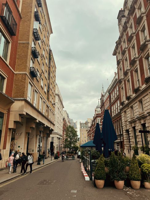 A narrow urban street scene in Soho, W1D, flanked by multi-storey buildings with varied architectural details and materials. On the left, a beige brick building features small balconies with black metal railings, while on the right, a red-brick structure with ornate stone window frames and decorative cornices. The street is populated with pedestrians walking along the sidewalk, some carrying shopping bags or pushing strollers. Centered in the scene, a row of large potted plants with neatly trimmed round foliage lines an outdoor seating area, shaded by dark blue umbrellas attached to tables. In the background, the sky appears overcast with diffused light, and additional buildings can be seen receding into the distance. The overall environment suggests a lively but tidy city neighborhood typical of central London, where private waste management services like Waste Removal Soho might handle rubbish collection, especially from businesses or cafes visible on the street. The scene emphasizes an organized urban setting with a focus on pedestrian activity and outdoor amenities, consistent with alternative waste handling scenarios in such areas.